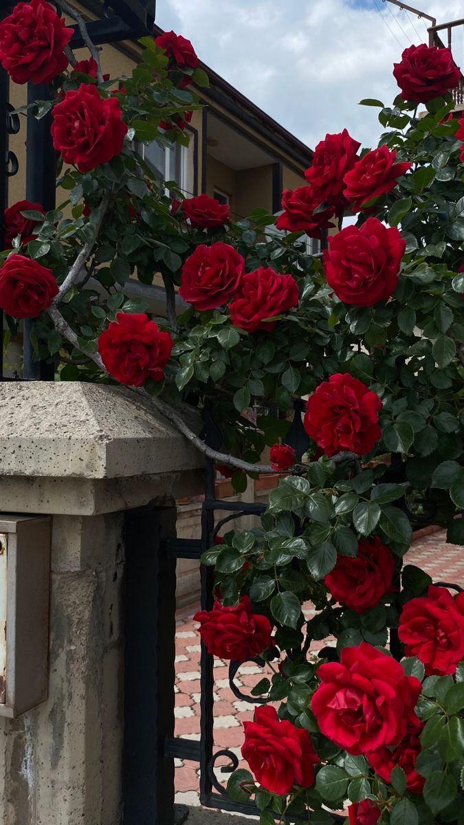 Professional floral arrangement in modern corporate setting